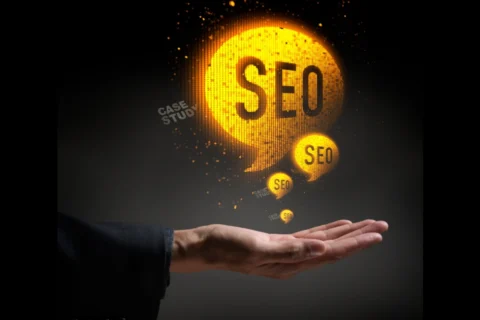 Hand holding glowing speech bubbles with the text SEO representing search engine optimization and case studies.